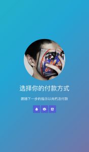 一款简约唯美的HTML付款页面-七星源码